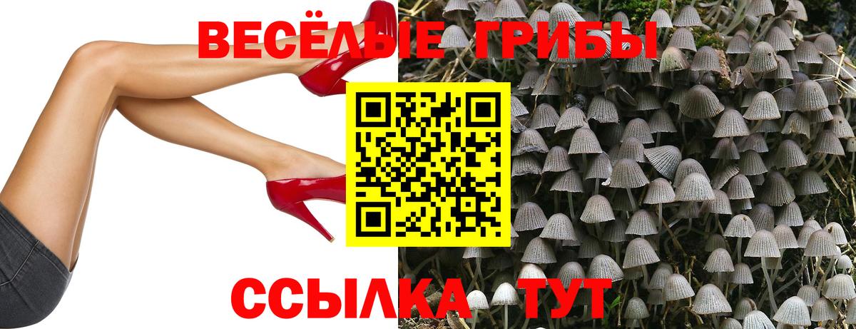 Галлюциногенные грибы Cubensis Иваново